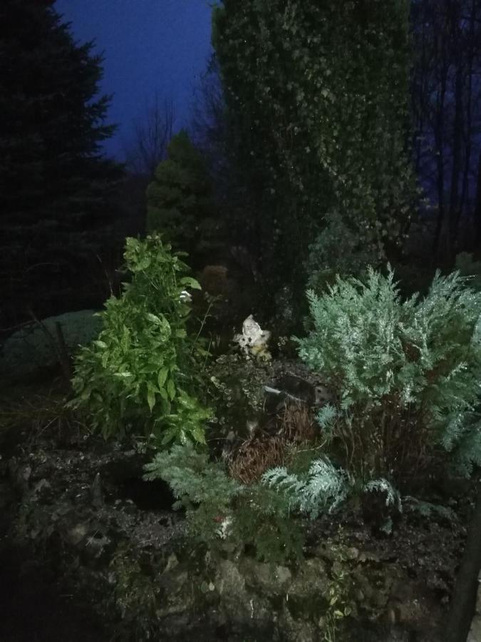 Holiday Home Tin Ogulin Esterno foto